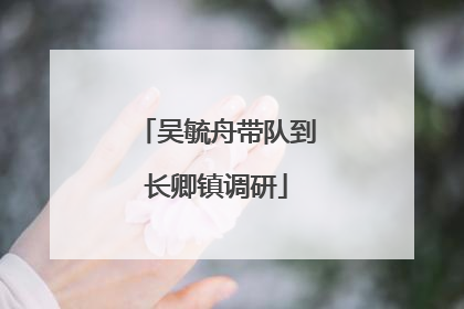 吴毓舟带队到长卿镇调研