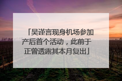吴谨言现身机场参加产后首个活动，此前于正曾透露其本月复出