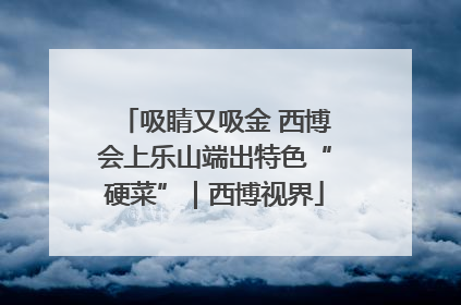 吸睛又吸金 西博会上乐山端出特色“硬菜”｜西博视界