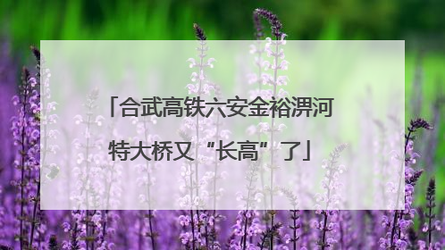 合武高铁六安金裕淠河特大桥又“长高”了
