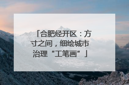 合肥经开区：方寸之间，细绘城市治理“工笔画”