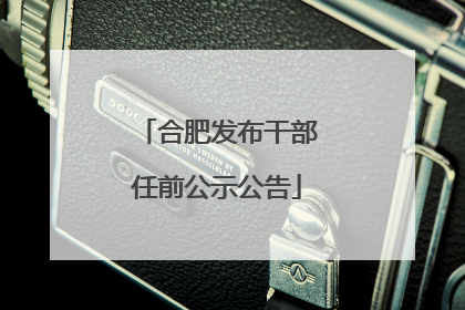 合肥发布干部任前公示公告
