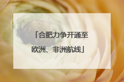 合肥力争开通至欧洲、非洲航线