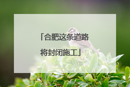 合肥这条道路将封闭施工