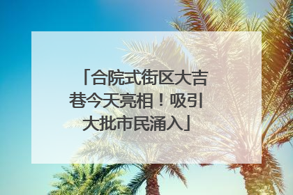 合院式街区大吉巷今天亮相！吸引大批市民涌入