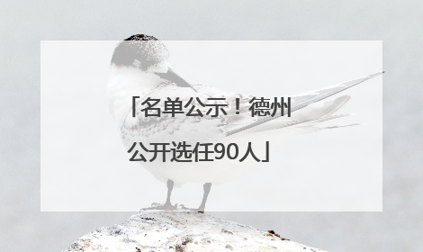 名单公示！德州公开选任90人