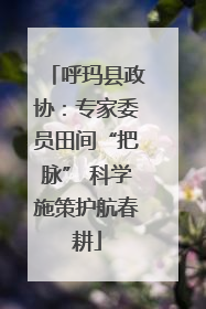 呼玛县政协：专家委员田间“把脉” 科学施策护航春耕