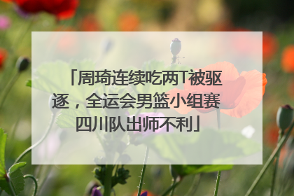 周琦连续吃两T被驱逐，全运会男篮小组赛四川队出师不利