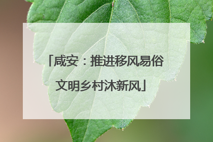 咸安：推进移风易俗 文明乡村沐新风