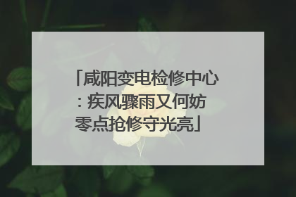 咸阳变电检修中心：疾风骤雨又何妨 零点抢修守光亮