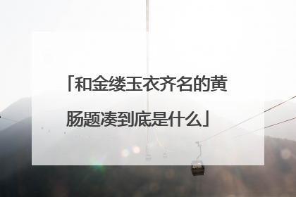 和金缕玉衣齐名的黄肠题凑到底是什么