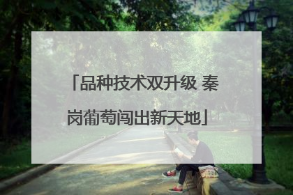 品种技术双升级 秦岗葡萄闯出新天地