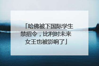 哈佛被下国际学生禁招令，比利时未来女王也被影响了