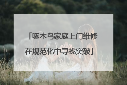 啄木鸟家庭上门维修在规范化中寻找突破