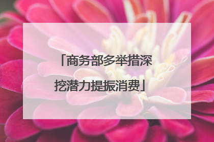 商务部多举措深挖潜力提振消费