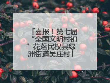 喜报！第七届“全国文明村镇”花落民权县绿洲街道吴庄村