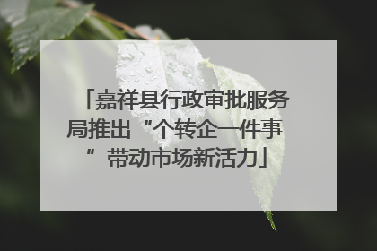 嘉祥县行政审批服务局推出“个转企一件事”带动市场新活力
