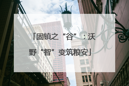固镇之“谷”：沃野“智”变筑粮安