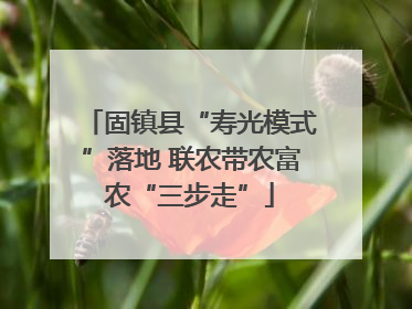固镇县“寿光模式”落地 联农带农富农“三步走”