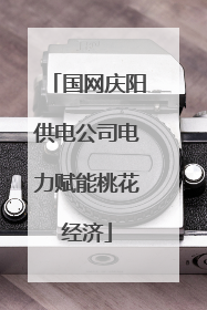 国网庆阳供电公司电力赋能桃花经济