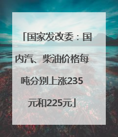 国家发改委：国内汽、柴油价格每吨分别上涨235元和225元