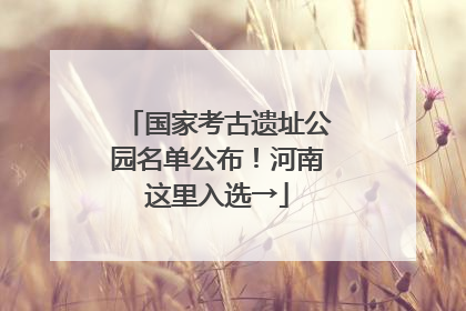 国家考古遗址公园名单公布！河南这里入选→