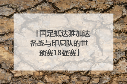 国足抵达雅加达备战与印尼队的世预赛18强赛