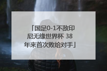 国足0-1不敌印尼无缘世界杯 38年来首次败给对手