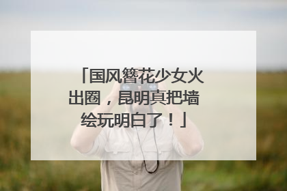 国风簪花少女火出圈，昆明真把墙绘玩明白了！