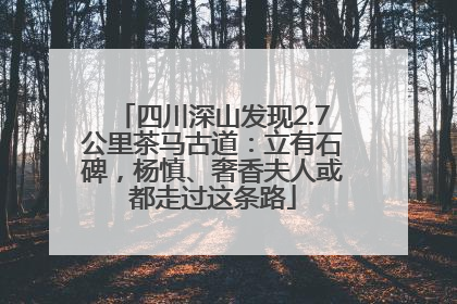 四川深山发现2.7公里茶马古道：立有石碑，杨慎、奢香夫人或都走过这条路