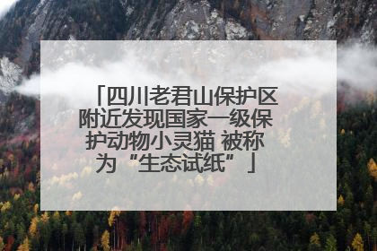 四川老君山保护区附近发现国家一级保护动物小灵猫 被称为“生态试纸”