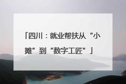 四川：就业帮扶从“小摊”到“数字工匠”