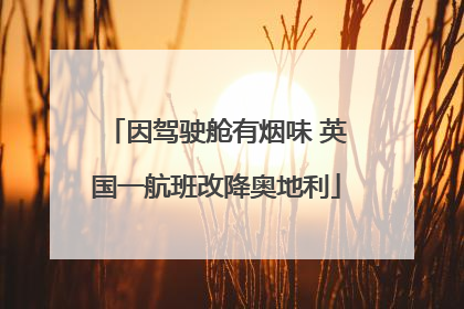 因驾驶舱有烟味 英国一航班改降奥地利