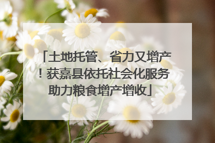 土地托管、省力又增产！获嘉县依托社会化服务助力粮食增产增收