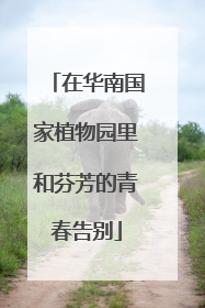 在华南国家植物园里和芬芳的青春告别