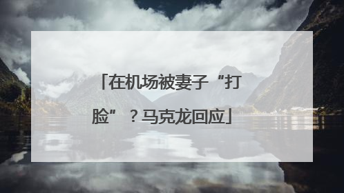 在机场被妻子“打脸”？马克龙回应