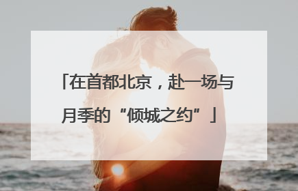 在首都北京，赴一场与月季的“倾城之约”