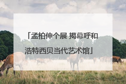 孟柏伸个展 揭幕呼和浩特西贝当代艺术馆