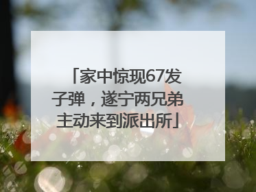 家中惊现67发子弹，遂宁两兄弟主动来到派出所