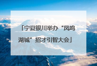 宁夏银川举办“凤鸣湖城”招才引智大会