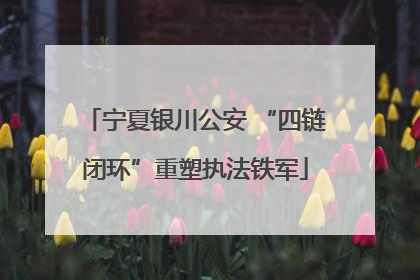 宁夏银川公安 “四链闭环”重塑执法铁军