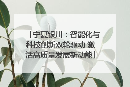 宁夏银川：智能化与科技创新双轮驱动 激活高质量发展新动能