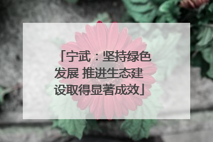 宁武：坚持绿色发展 推进生态建设取得显著成效