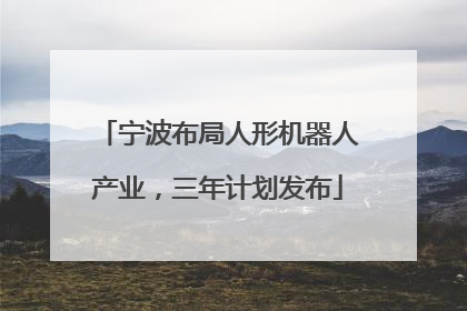宁波布局人形机器人产业，三年计划发布