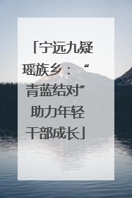 宁远九疑瑶族乡：“青蓝结对” 助力年轻干部成长