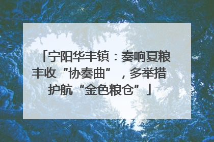 宁阳华丰镇：奏响夏粮丰收“协奏曲”，多举措护航“金色粮仓”