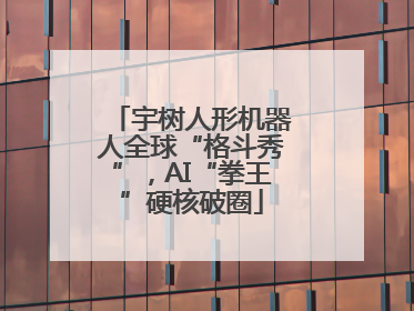 宇树人形机器人全球“格斗秀”，AI“拳王”硬核破圈