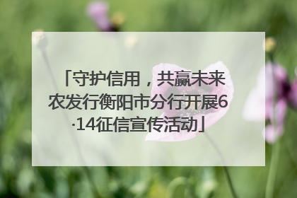 守护信用，共赢未来 农发行衡阳市分行开展6·14征信宣传活动