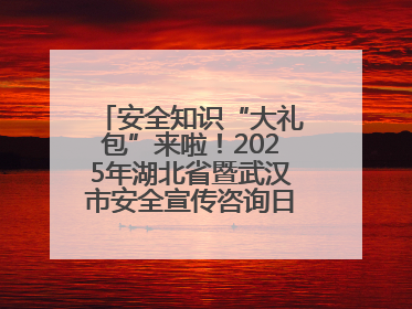 安全知识“大礼包”来啦！2025年湖北省暨武汉市安全宣传咨询日活动在汉举行