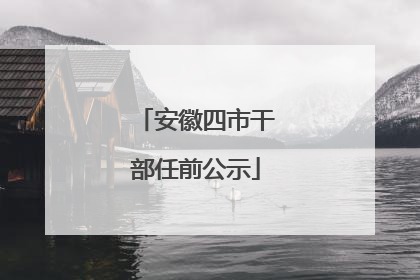 安徽四市干部任前公示